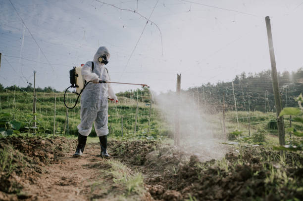 Best Pest Prevention Services  in Contoocook, NH