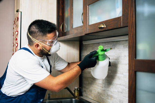 Best Pest Inspection Near Me  in Contoocook, NH