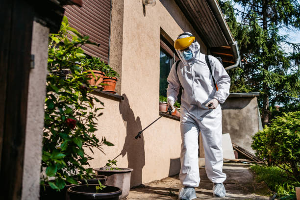 Best Affordable Pest Control Services  in Contoocook, NH