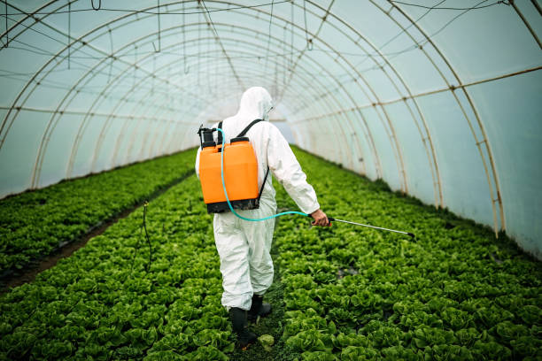 Best Commercial Pest Control Services  in Contoocook, NH