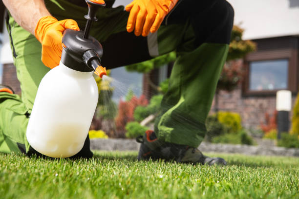 Best Best Pest Control Companies  in Contoocook, NH