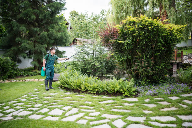 Best Pest Inspection Near Me  in Contoocook, NH