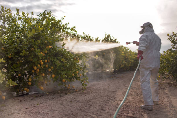 Pest Control for Restaurants in Contoocook, NH